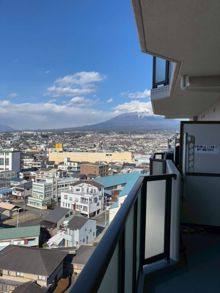 エンゼルハイム吉原12階